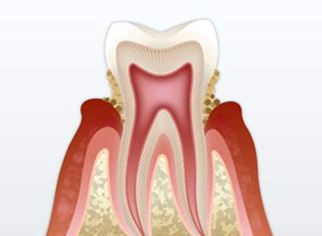 北13ハニー歯科の「診療案内」画像